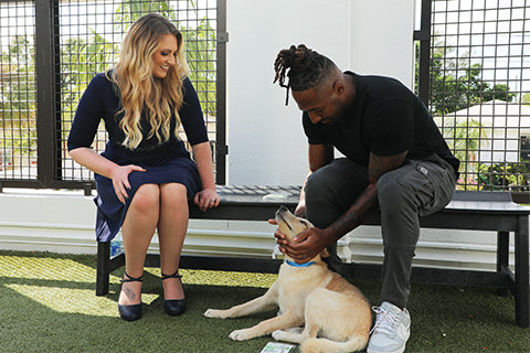 What Bug Bite Thing’s Partnership with Logan Ryan Means for Dogs