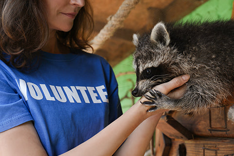 Volunteer at a local wildlife sanctuary