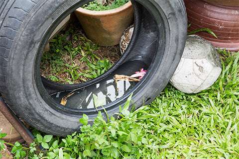 Eliminate Standing Water