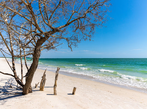 Lover's Key State Park, Fort Myers