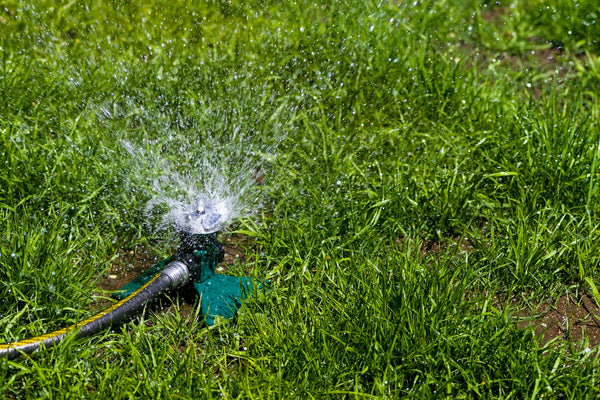 Photo of sprinkler watering the lawn