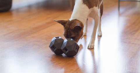 The Odin Puzzle Dog Toy by Up Dog Toys
