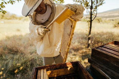 Beekeeper