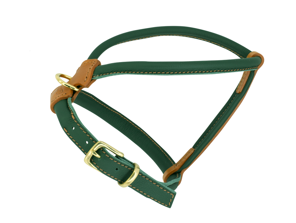 dog belt