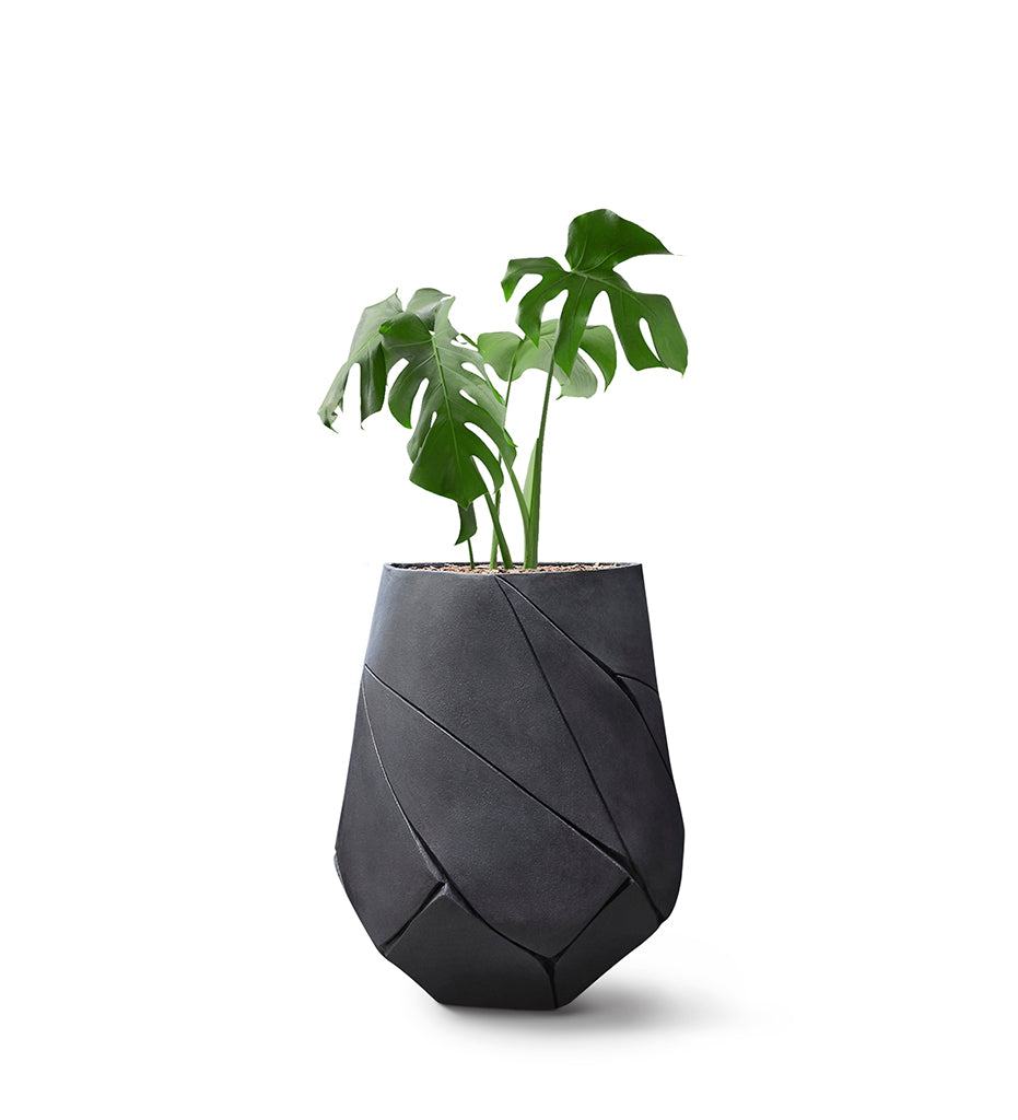 Indigenus Tuber Planter - Small Concrete - Allred Collaborative