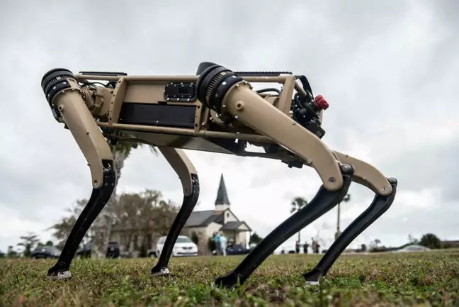 robot dog