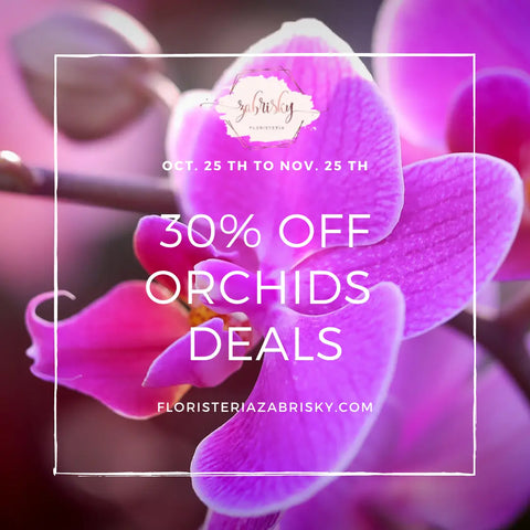 #Orchids #plants #deals 30% off #blackfriday - #Florist in 