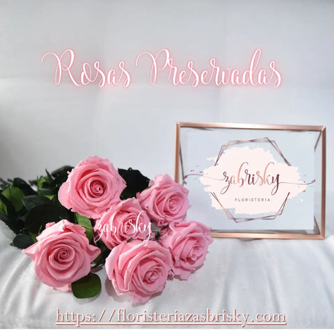 Rosas Preservadas - Floristerías en Pereira