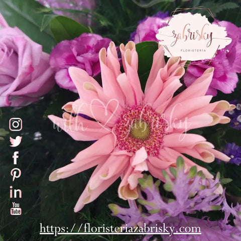 Zabrisky Florist - Florists in Pereira