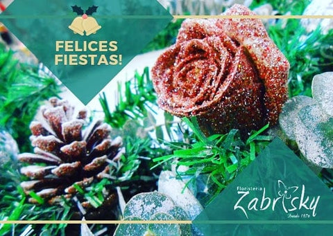 Felices Fiestas 💝