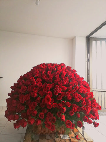 Thousand red roses