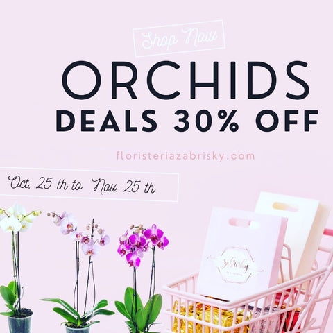 #Orchids #plants #deals #30% off (Terms and Conditions 