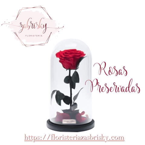 Beauty and Beast Rose - Florist in Pereira