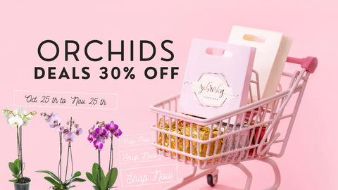 #blackfriday #Orchids #plants #deals #30% off