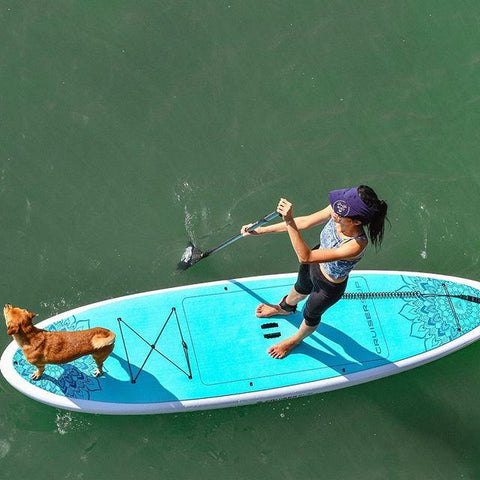Paddle Boarding with a small dog