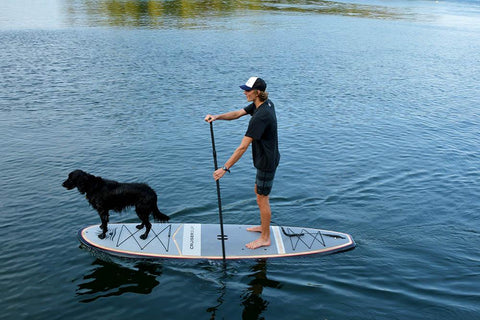 man and dog on paddle board
