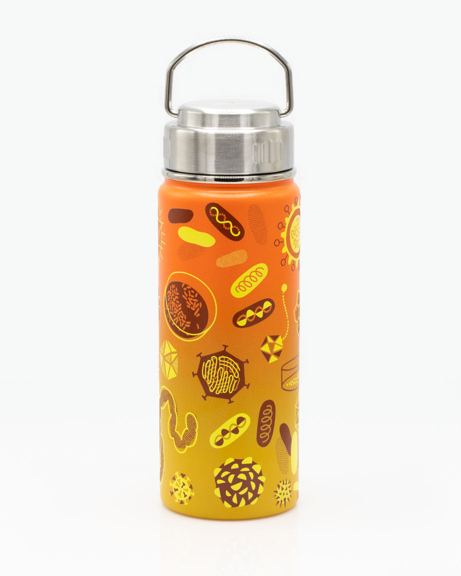 Architecture 18 oz. Stainless Steel Water Bottle / Travel Mug | Cognitive Surplus