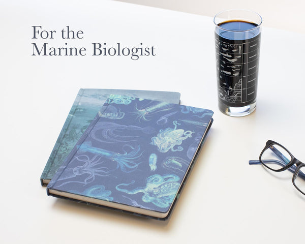 for the marine biologist mom