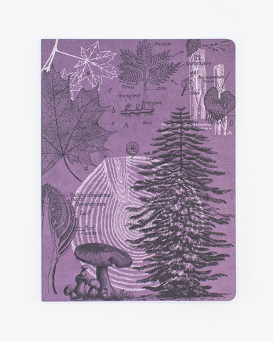 Forest at Dusk Softcover Notebook.