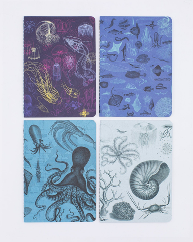 Marine Biology Pocket Notebook 4-pack.