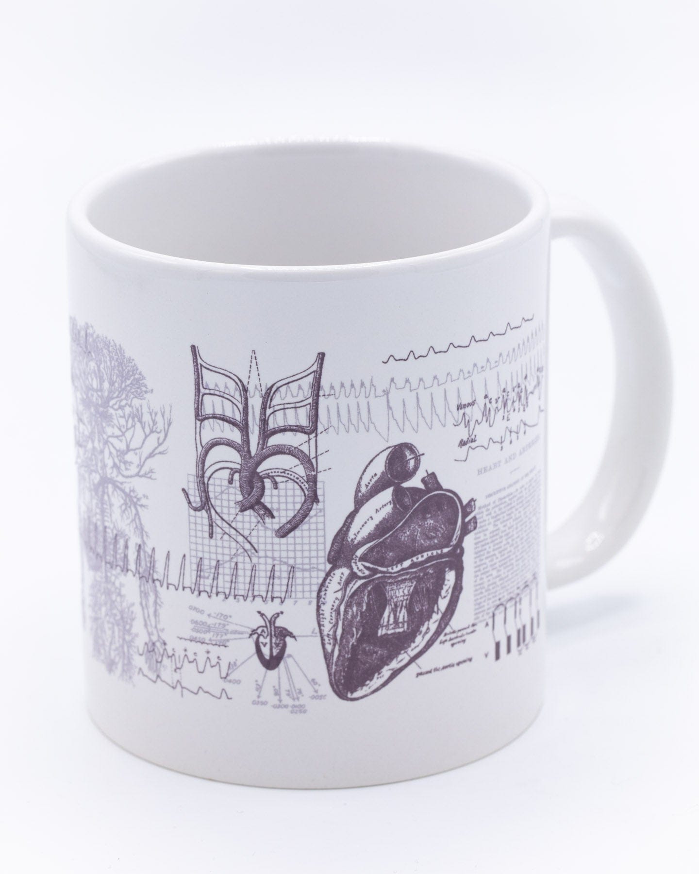 Great Women of Science Mug | Cognitive Surplus