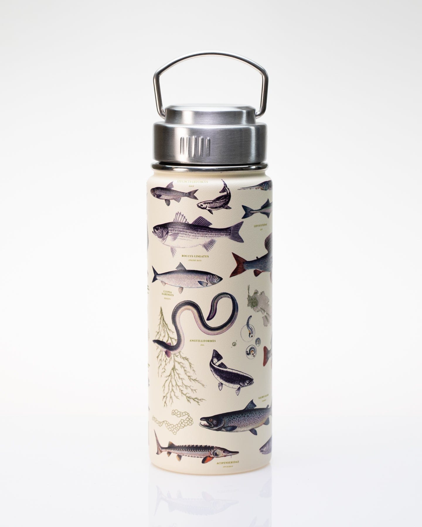 Arctic Heir 16oz Vacuum Flask Thermos w/ Tea Infuser & LED Digital