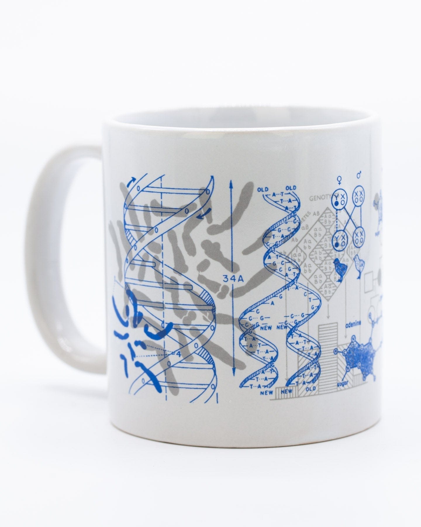 Brain Mug 20 oz | Cognitive Surplus