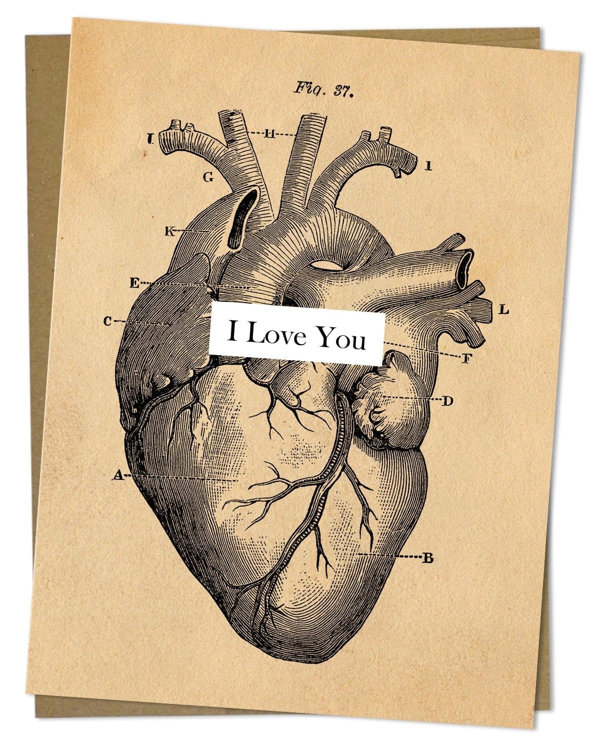 Anatomical Heart Washi Tape – Cognitive Surplus EU