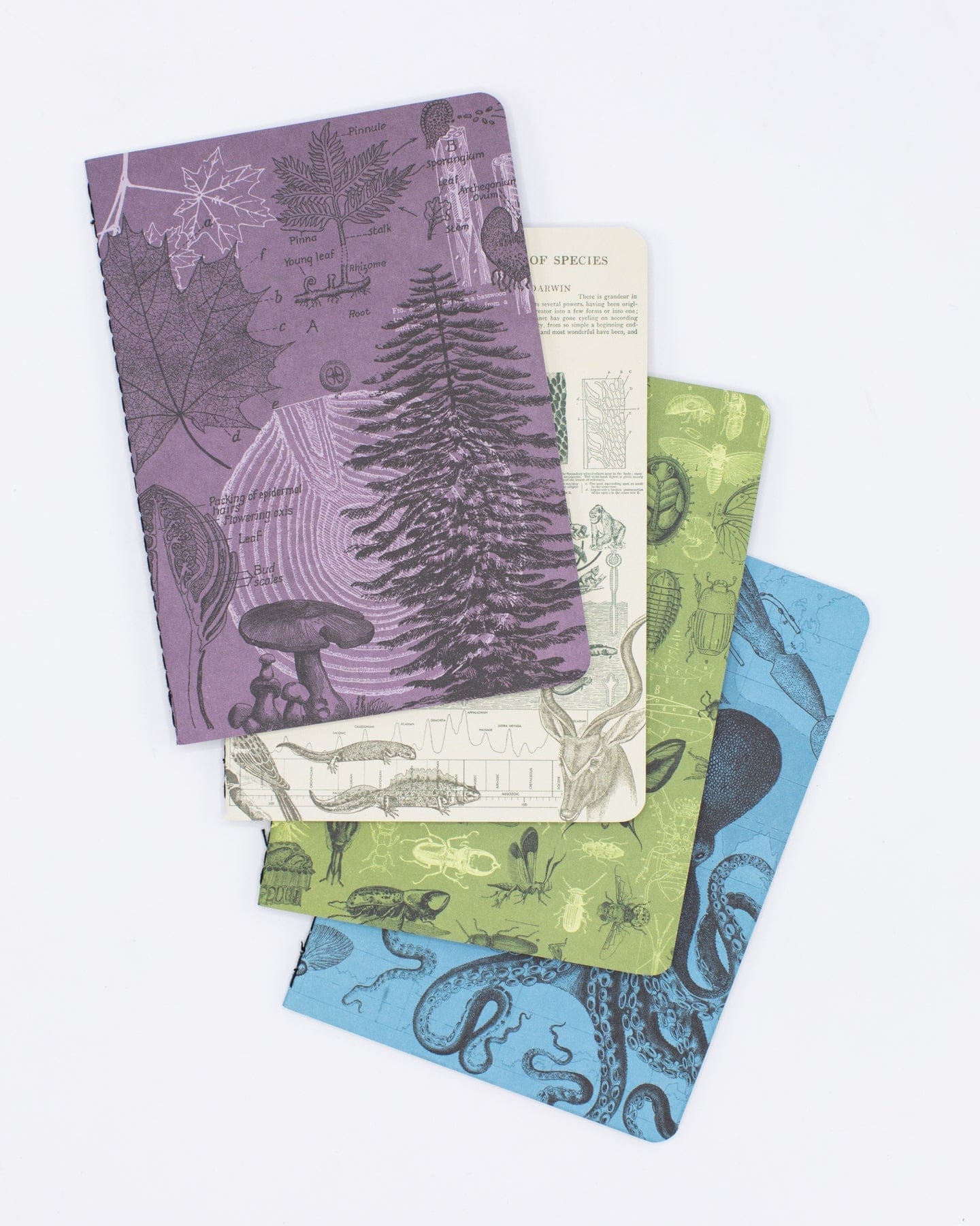 Marine Biology Pocket Notebooks Set of 4