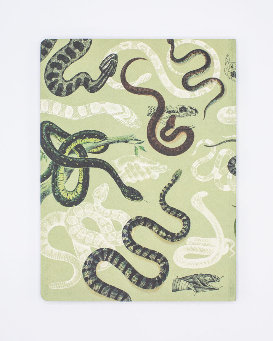 Frogs & Toads Softcover Notebook - Lined – Cognitive Surplus
