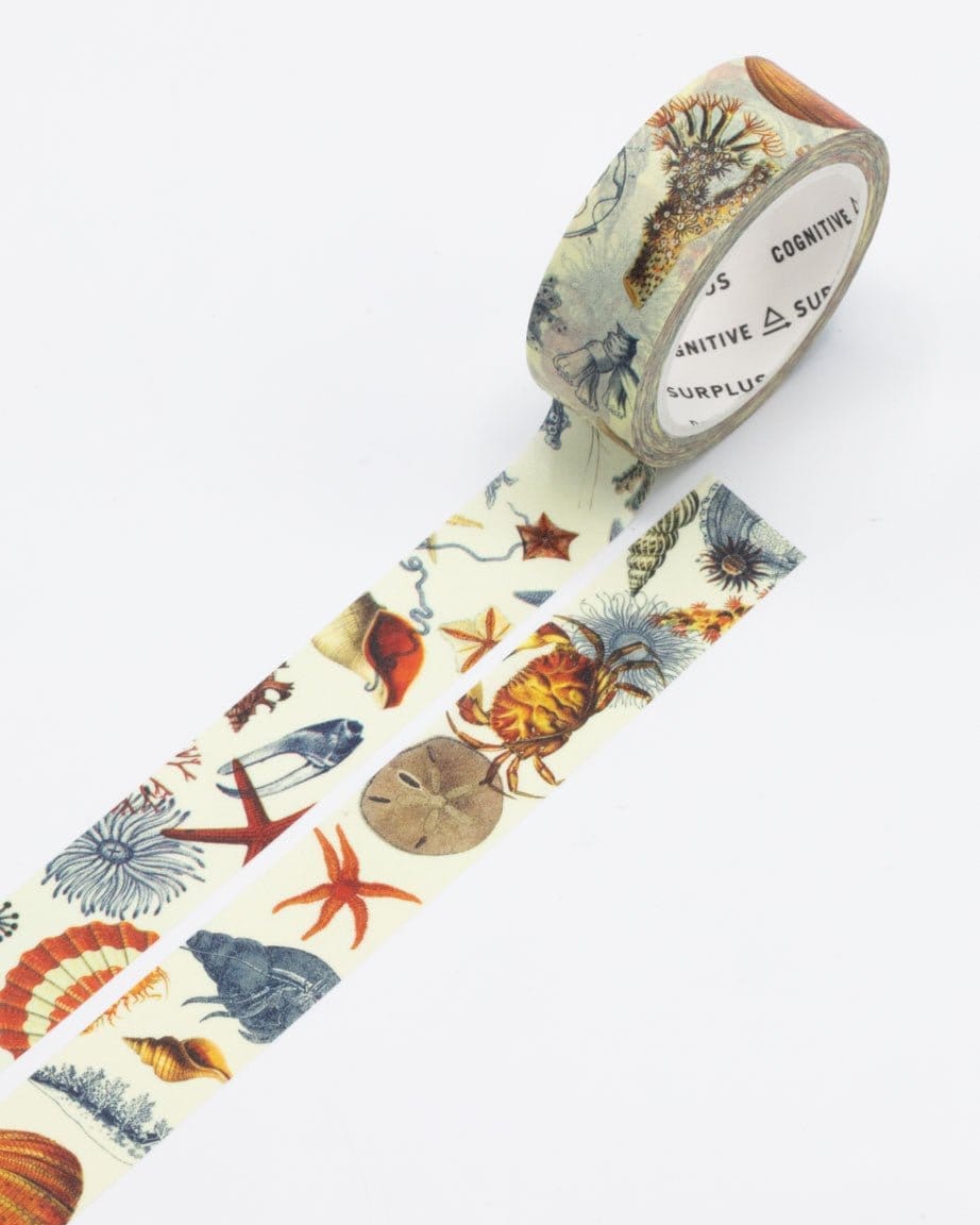 Equations That Changed The World Washi Tape