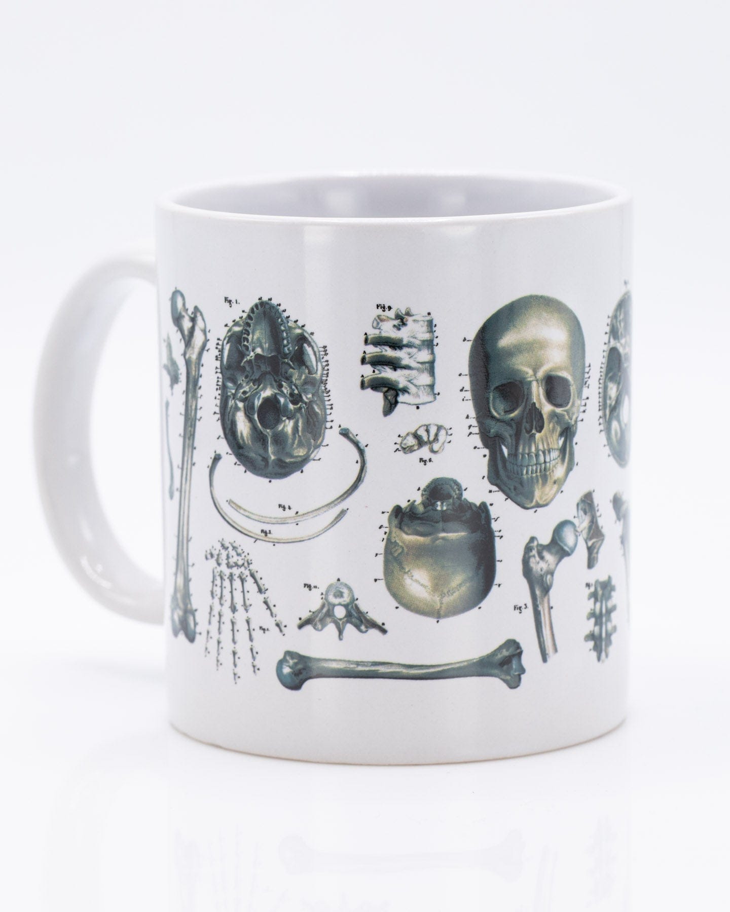 Cardiology Anatomical Heart Mug 20 oz | Medicine Gift