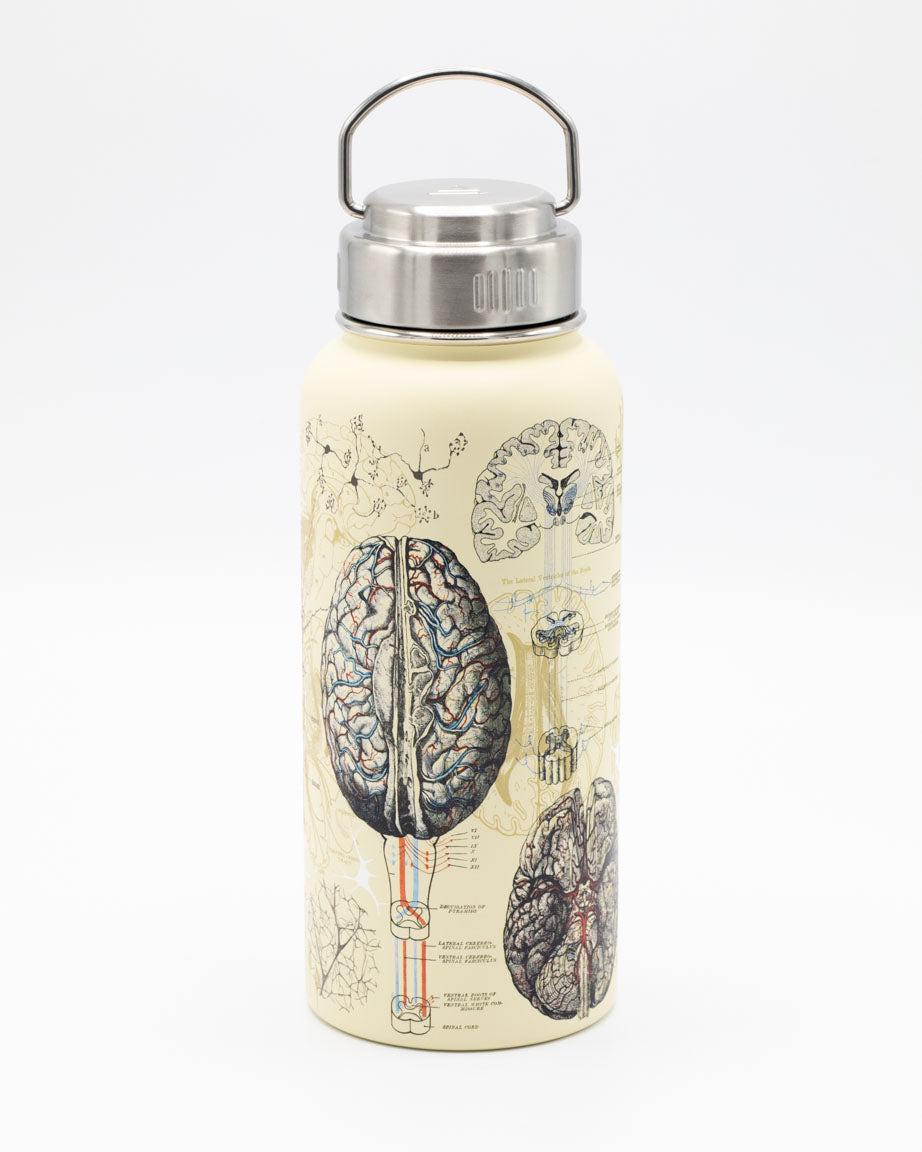 Brain & Neuroscience 18 oz Insulated Steel Bottle by Cognitive Surplus