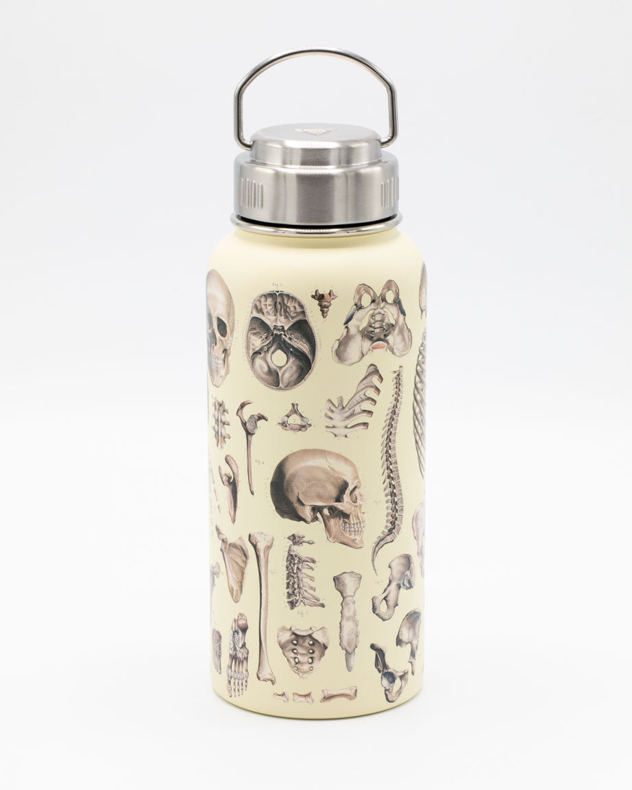 Small Stainless Steel Water Bottle – BE Thoughtful Brain – The