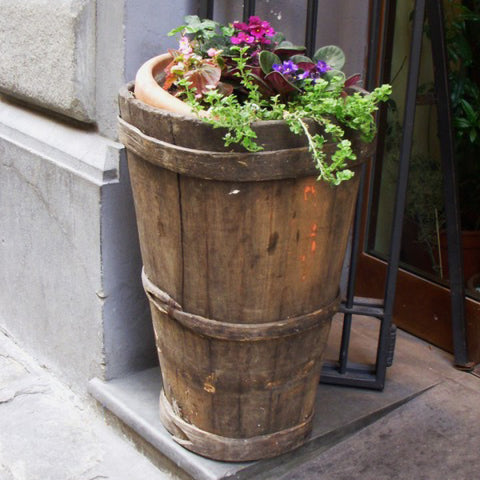 Tuscan Style Home Décor: A Guide The 5 Main Things to Know - A vintage Italian grape harvesting basket, once used in an Italian vineyard, is creatively repurposed as a flower planter.
