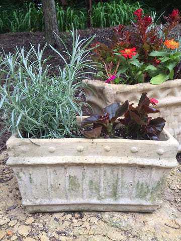 Ways to Use Italian Terracotta Planters