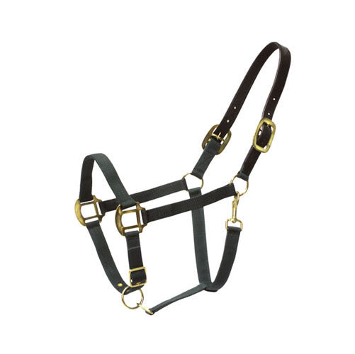 mini horse breakaway halter