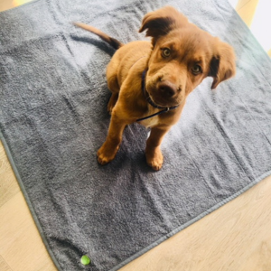 puppy on PeapodMat