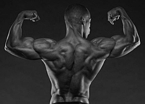 How To Get The V Cut Abs Look Active8 Canada