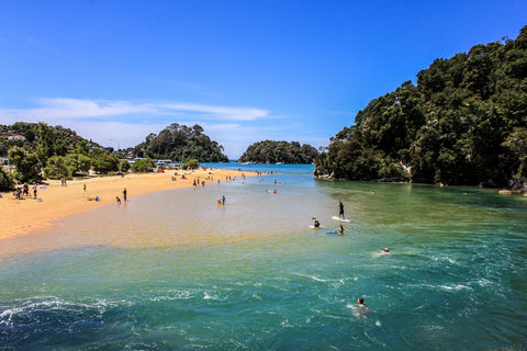 New Zealand Auckland beach