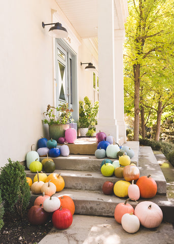 Rainbow pumpkins painted for thanksgiving