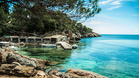 Little Hotdog Watson recommends beach in San Carlos Ibiza Cala Mastella 