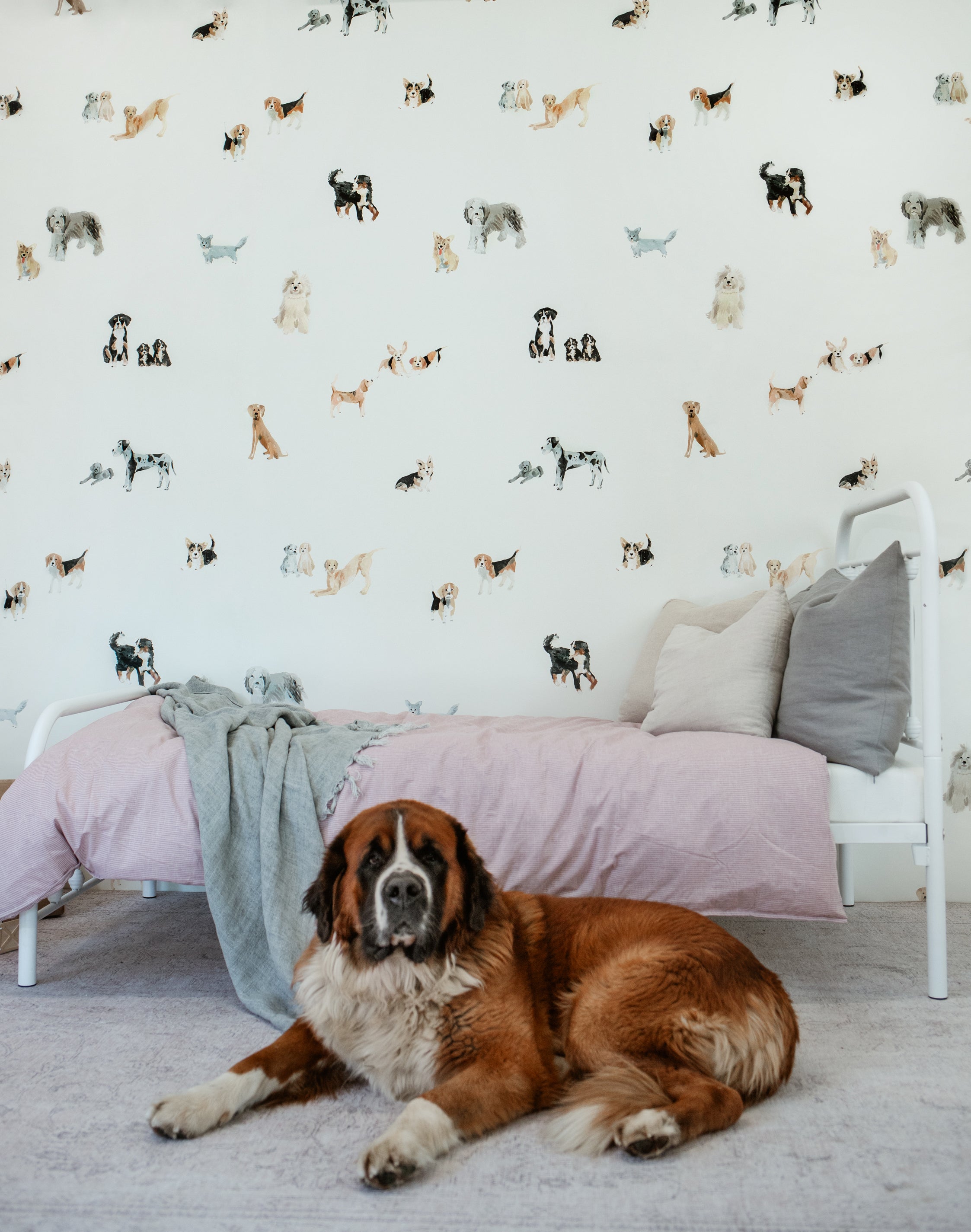 New Fabric and Wallpaper Are Going to the Dogs