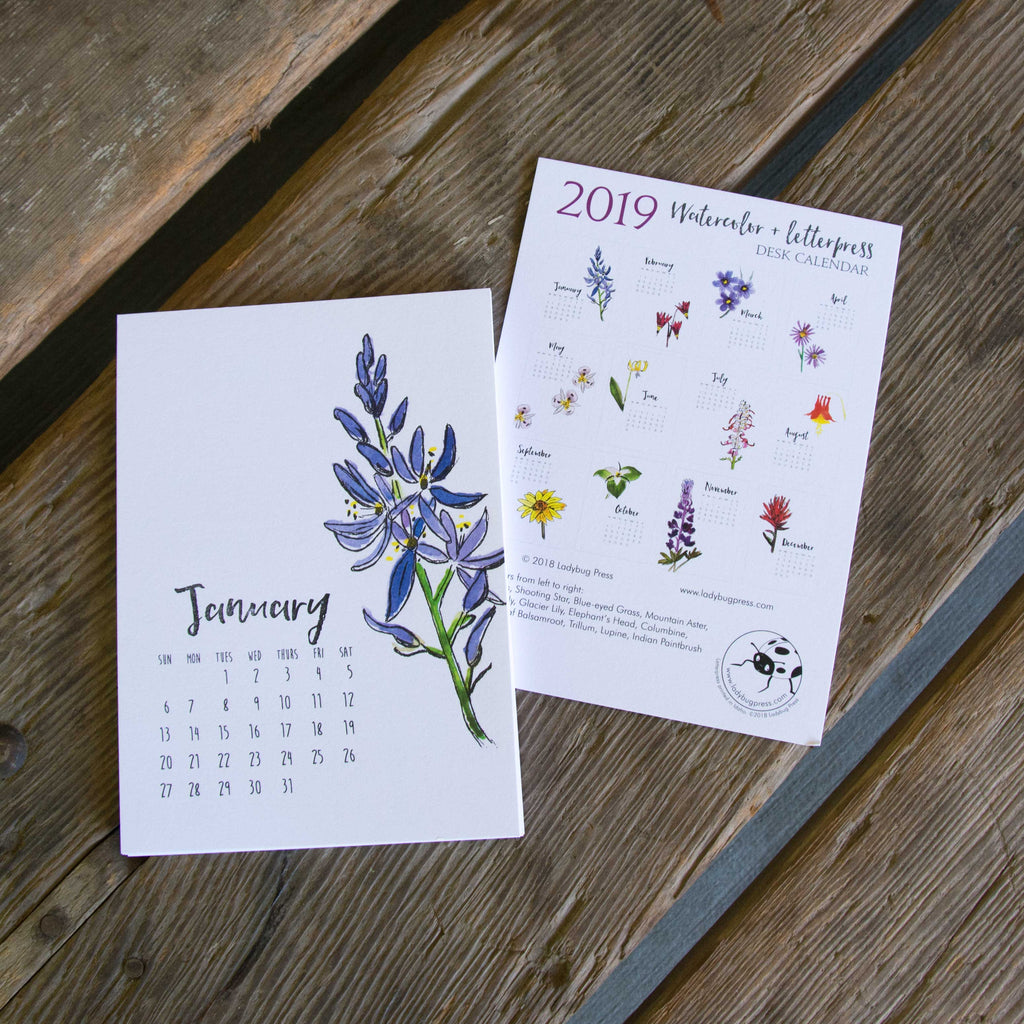 2019 Watercolor And Letterpress Wildflower Desk Calendar Hand