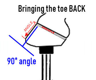 An illustration of how to bring the toe back in a barefoot trim