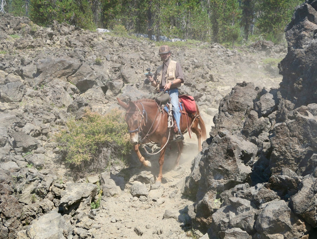 TrailMeister hoof boots mules