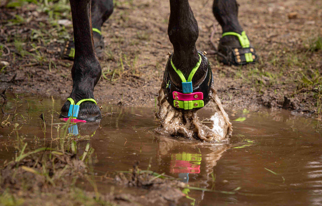 A black horse wearing green, blue and pink Scoot Boots and Mud Straps trotting through a muddy puddle