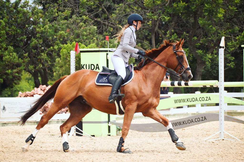 A brown horse wearing Scoot Boots cantering around a corner at a show jumping competition