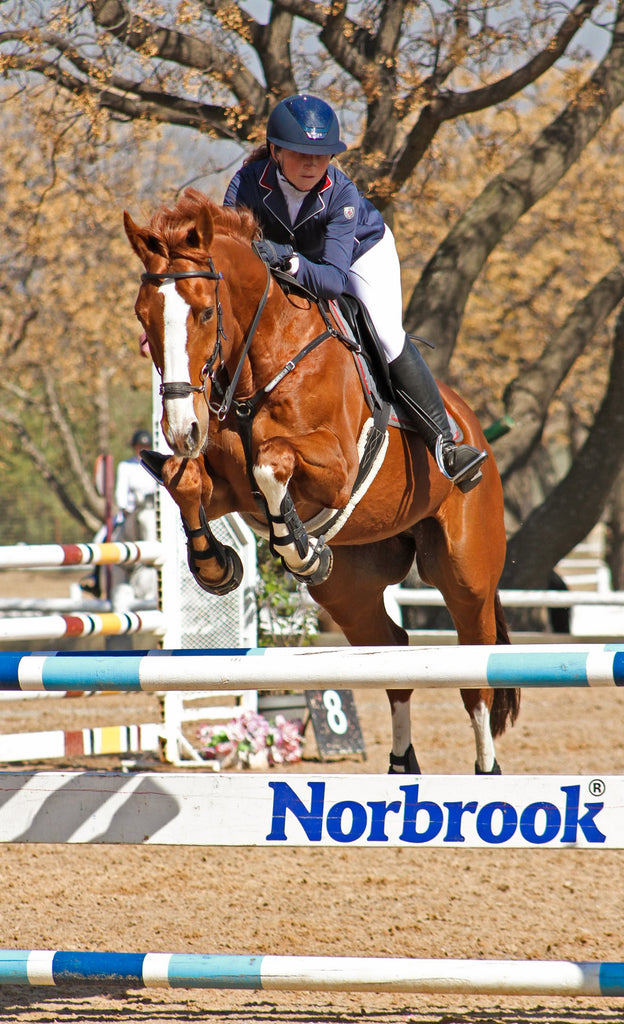 A woman jumping with her brown and white horse over a 1.25 metre jump