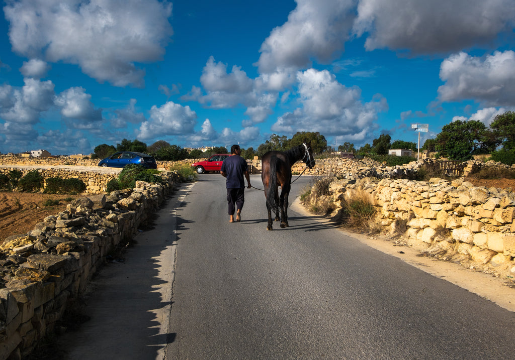 Un homme et son cheval brun marchant sur une route goudronnée
